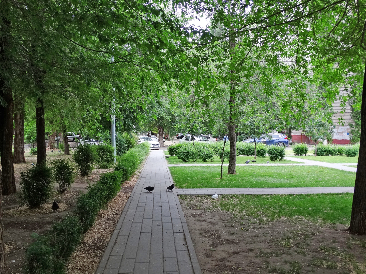 Парк Лесогород на Тулака. Волгоград
