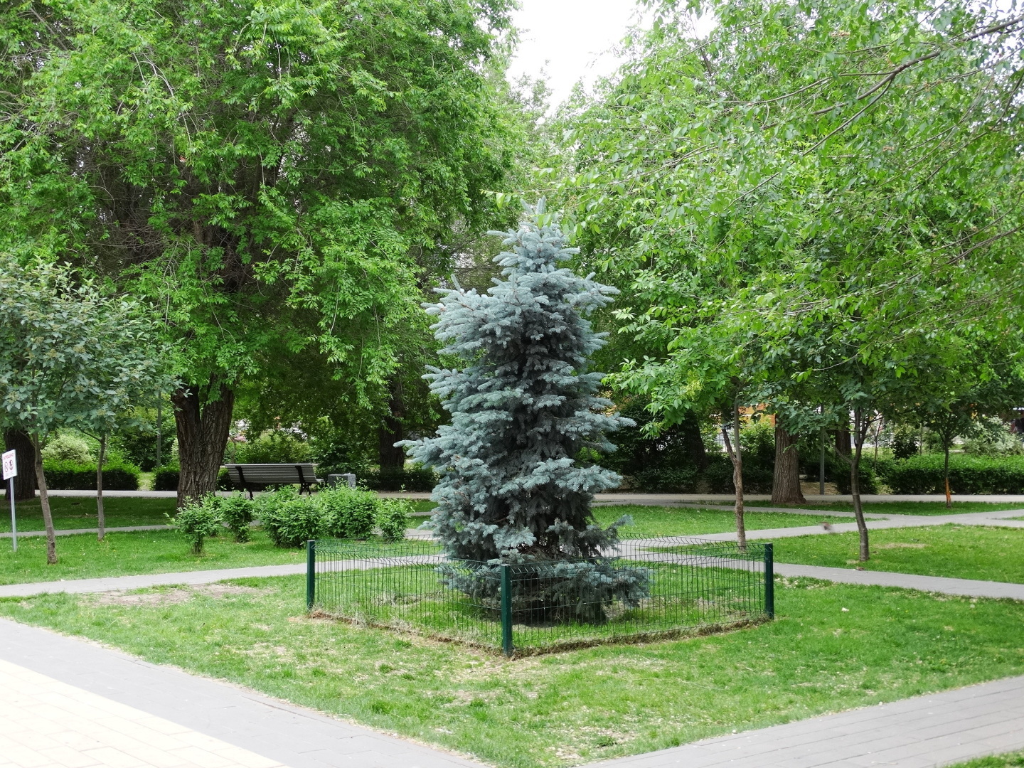 Парк Лесогород на Тулака. Волгоград