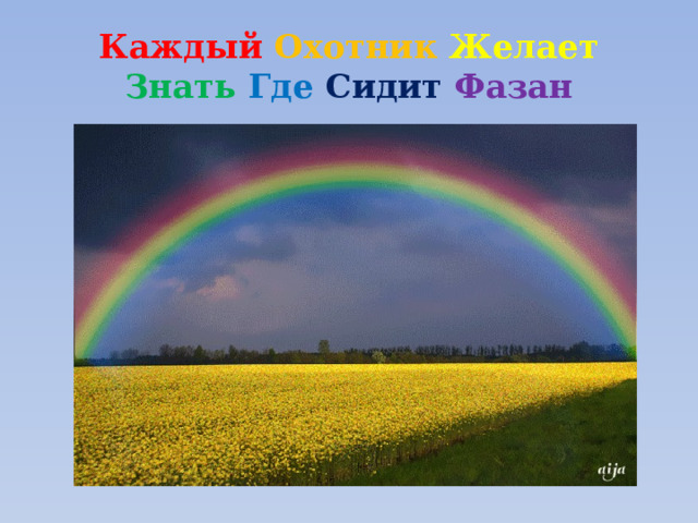 Каждый желает где сидит фазан. Каждый охотник желает знать где сидит фазан. Каждый охотник желает знать где сидит фазан цвета радуги. Пословица про радугу фазан. Каждый фазан желает знать где.