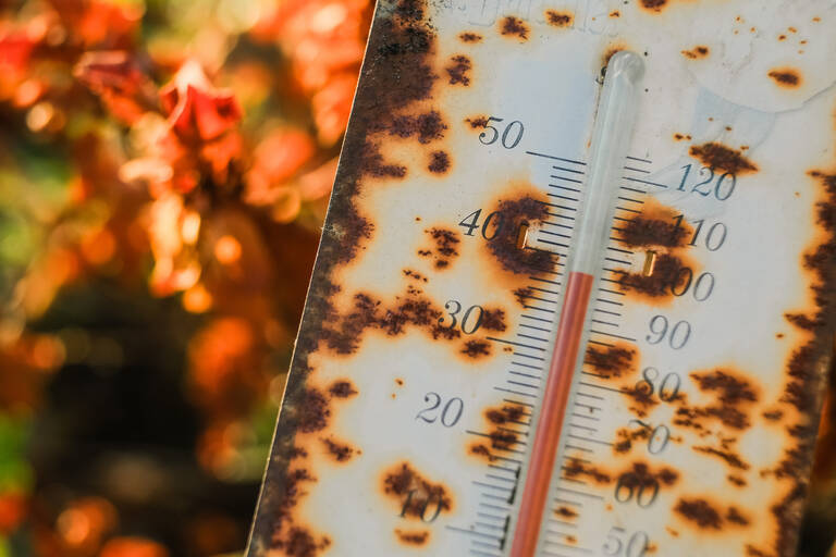 После рекордного теплого октября 2023, этот год гарантированно станет самым жарким годом в истории метеонаблюдений!