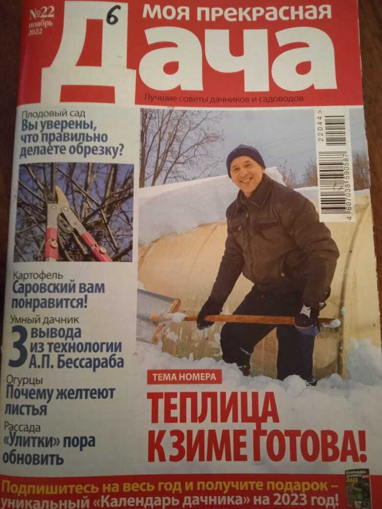 Моя история разговора с яблоней: как заставить яблоню зацвести, что лучше бить топором на Петров день или разговор по душам. Делюсь своим опытом.