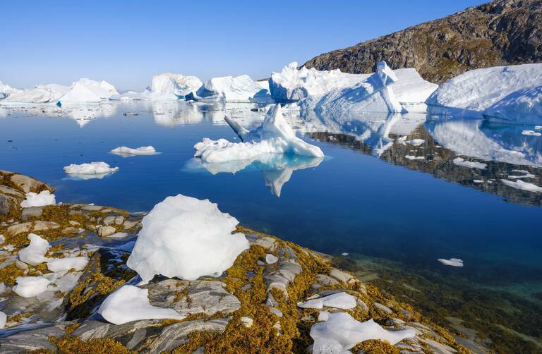 Гренландия: шельфовые ледники потеряли более трети своего объема с 1978 года!