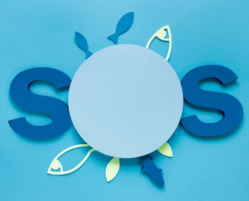 Мошенники оформили ИП, появился долг по налогам – что делать?