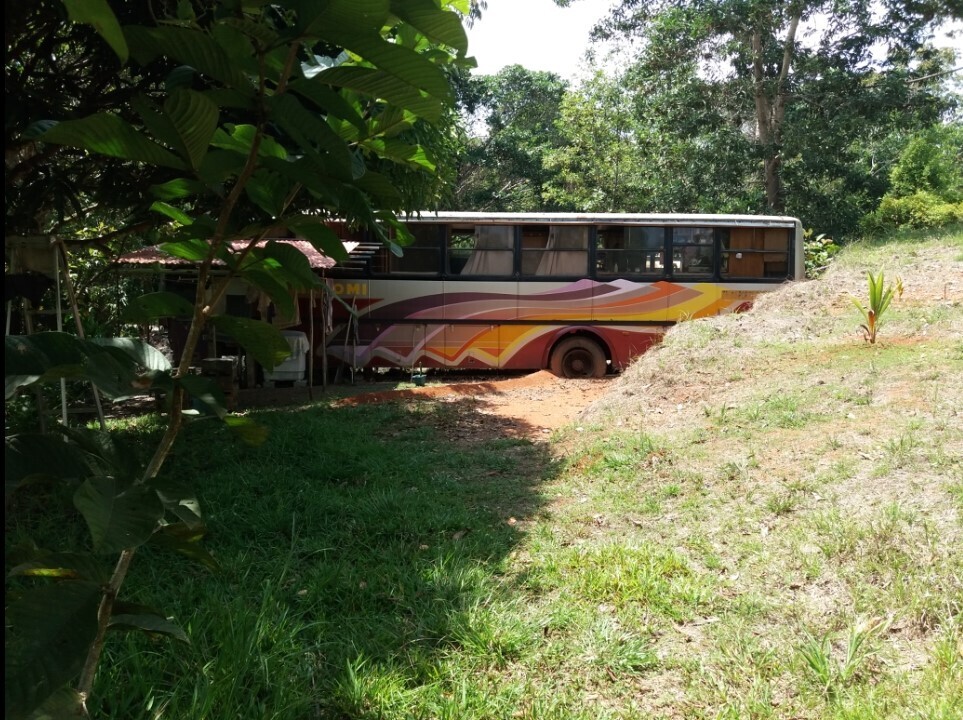 Кто мне разрешил "этим" заниматься? Послесловие к серии онкологических отступлений по следам некоторых комментариев