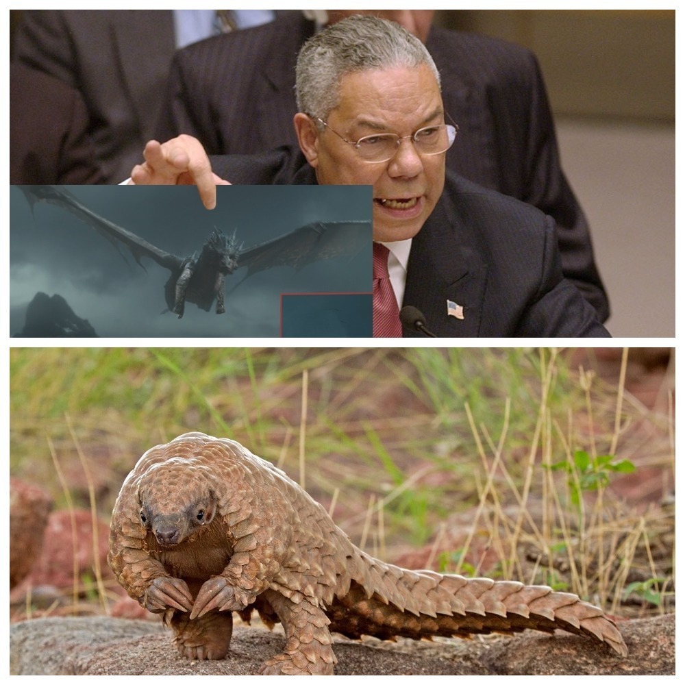 Панголины - предвестники третьей мировой | Креатив борьбы с насилием в Германии
