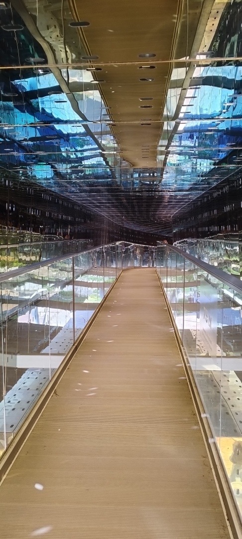 Моя экскурсия в любимый парк ВДНХ. Лента Мебиуса, ЭКО-тропа, лесной театр. Делюсь впечатлениями о новых арт-объектах и фотографиями!