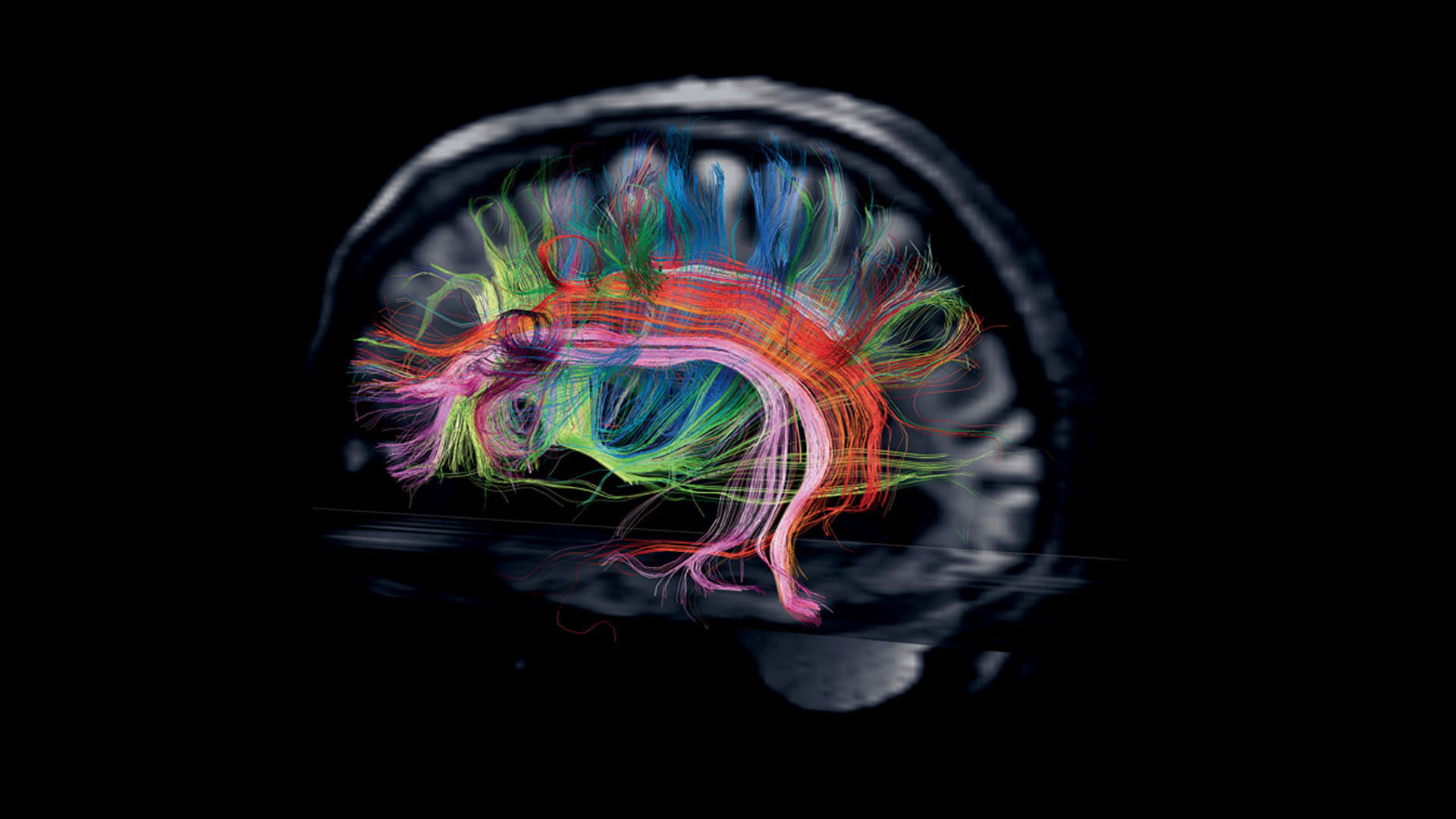 Мозговая энергия: Как развить свой потенциал и использовать тайны мозга и секреты его развития