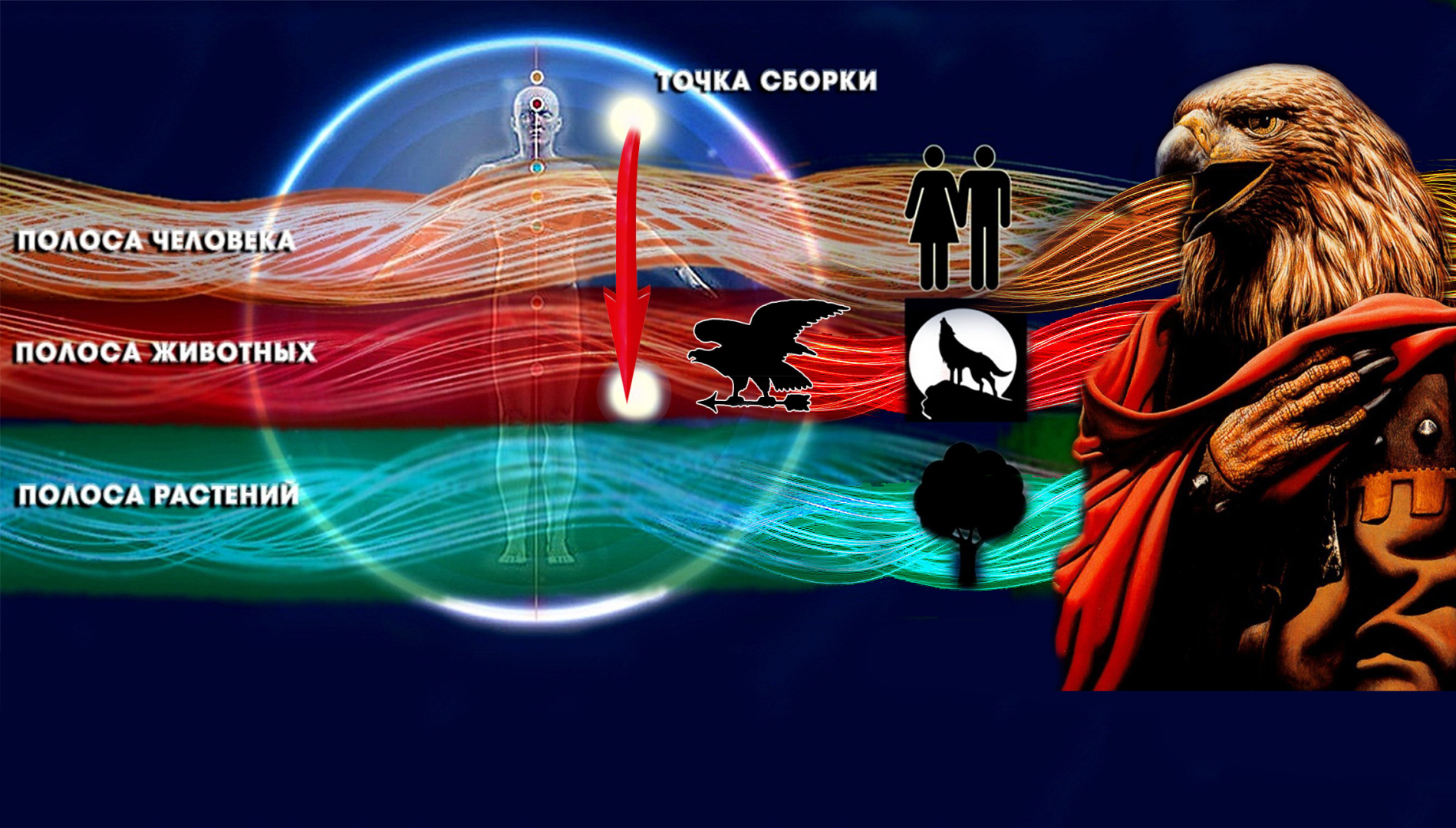 Я, дон Хуан, Карлос Кастанеда и ворона! Вторая часть