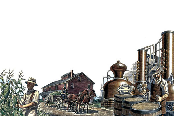 История появления виски от древности и до современности