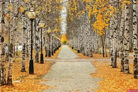 Погодный сюрприз 10 ноября 2023 года