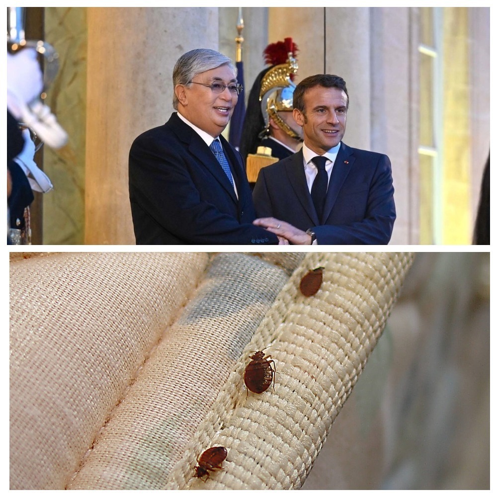 Макрон и слова | Клопы на экспорт | Спасение экономики Германии