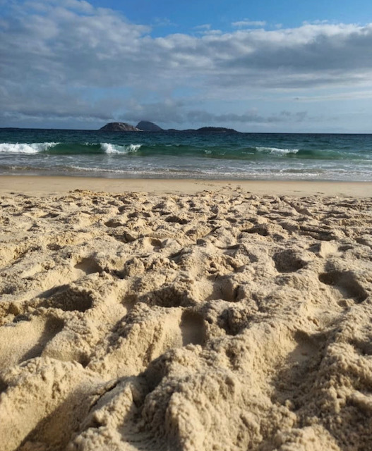 «Тебя там изнасилуют и убьют», – говорили они. Правда ли, что в Бразилии опасно? Путешествие в Рио-де-Жанейро