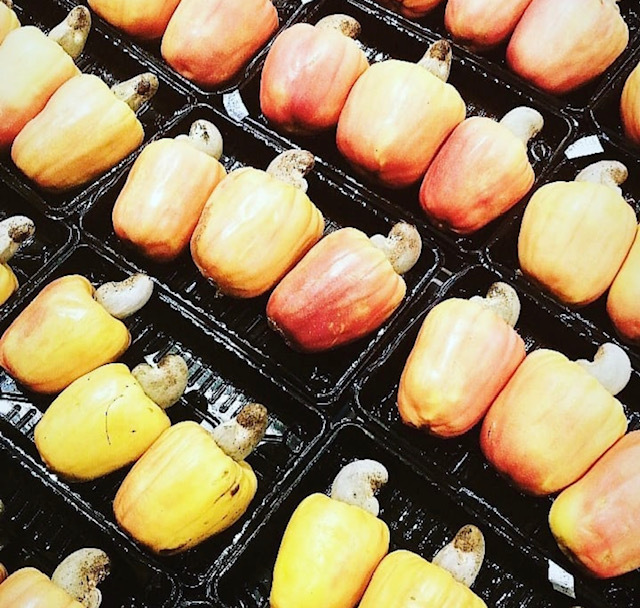 «Тебя там изнасилуют и убьют», – говорили они. Правда ли, что в Бразилии опасно? Путешествие в Рио-де-Жанейро