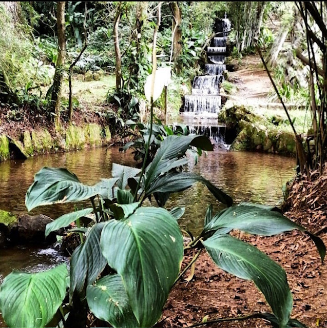 «Тебя там изнасилуют и убьют», – говорили они. Правда ли, что в Бразилии опасно? Путешествие в Рио-де-Жанейро