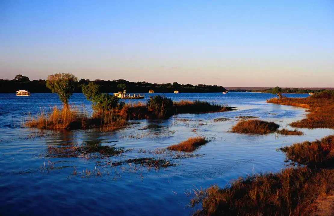 «Я был по пояс в горле бегемота».