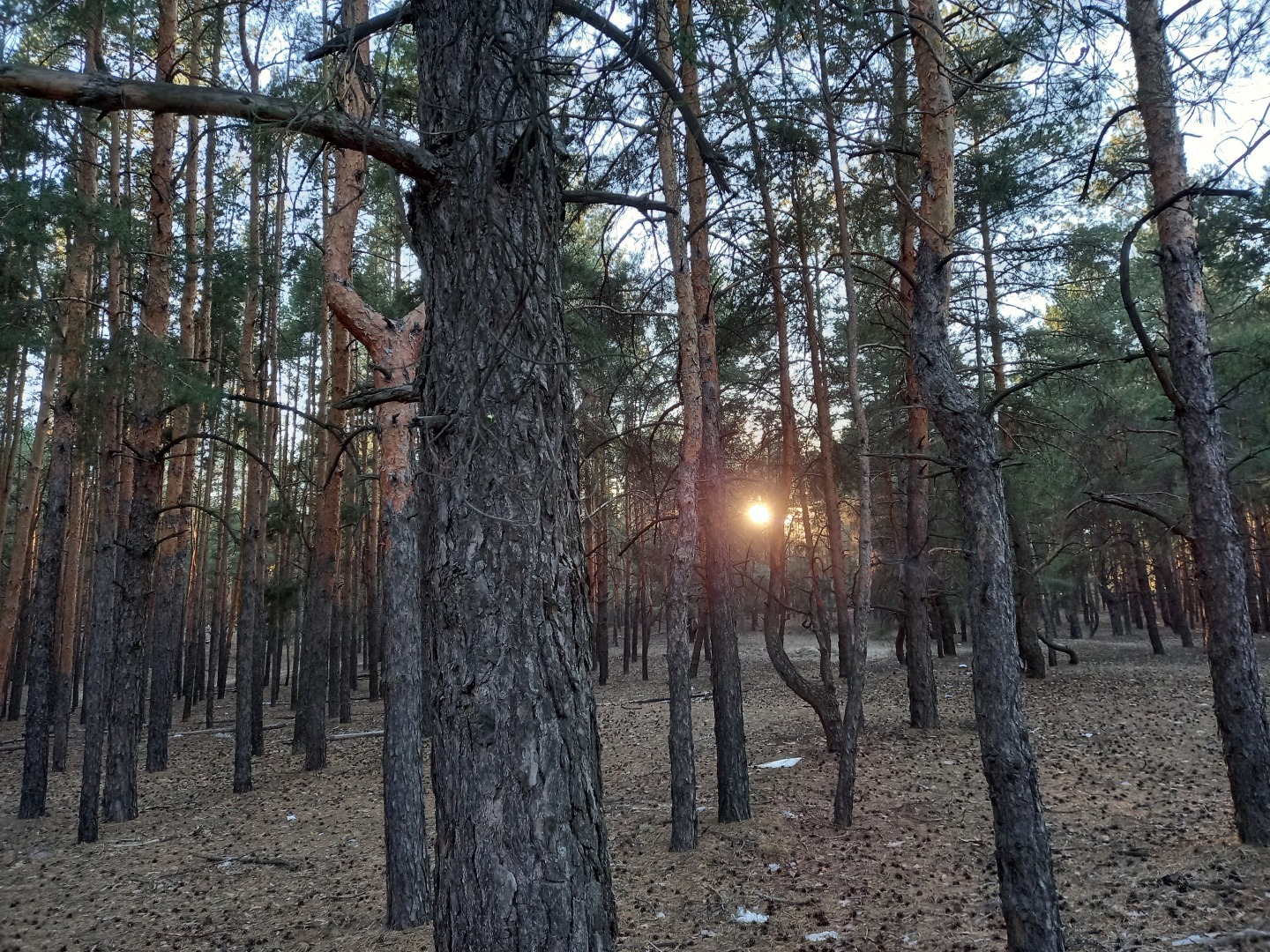 Путешествие по Шолоховским местам, которое подарило мне и приключения и познавательную программу
