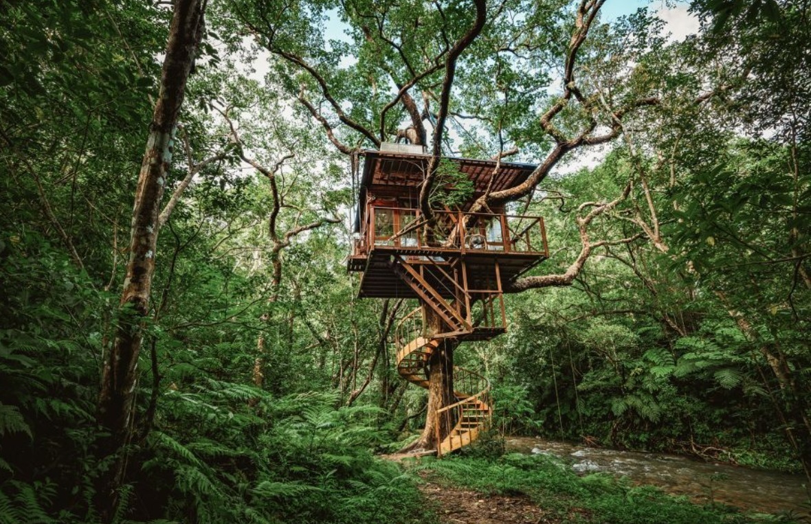 Один из самых элегантных отелей Японии на самом деле представляет собой домик на дереве.