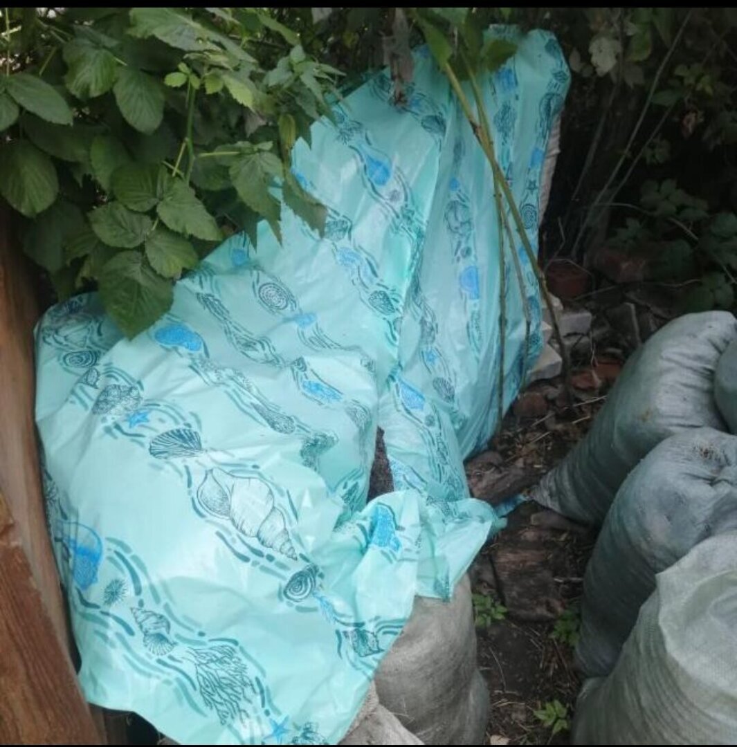 О ценностях и том, почему детей должно быть больше 1. Или как я в лес ходила.