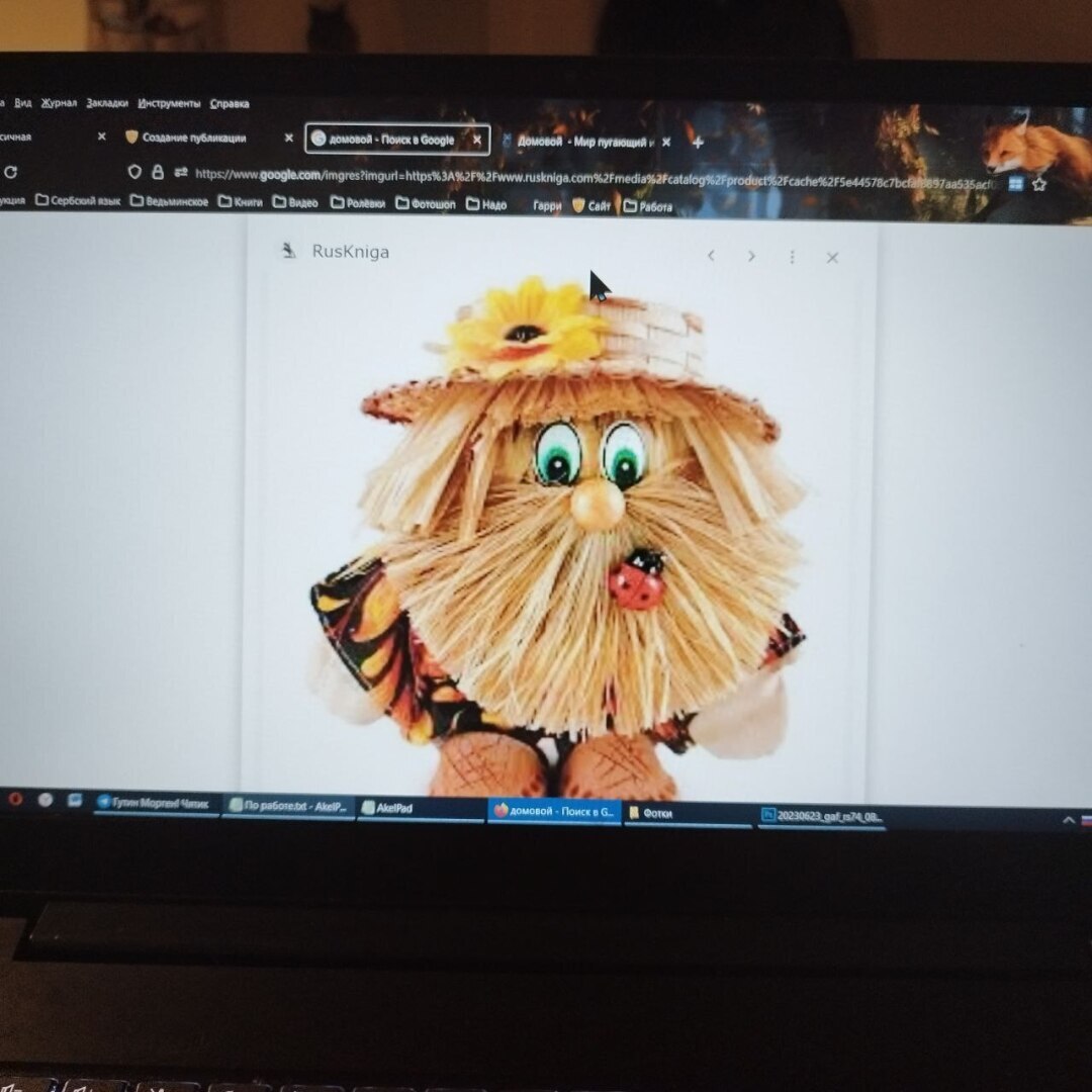 А я верю в домовых, и всё тут!