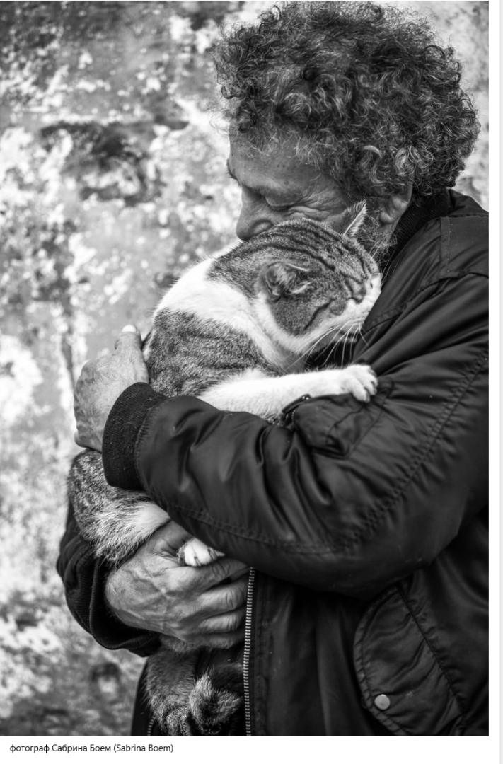 Кастрация - важная процедура для здоровья и поведения вашего питомца