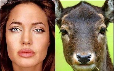 Наши маленькие "серые клетки"🧠