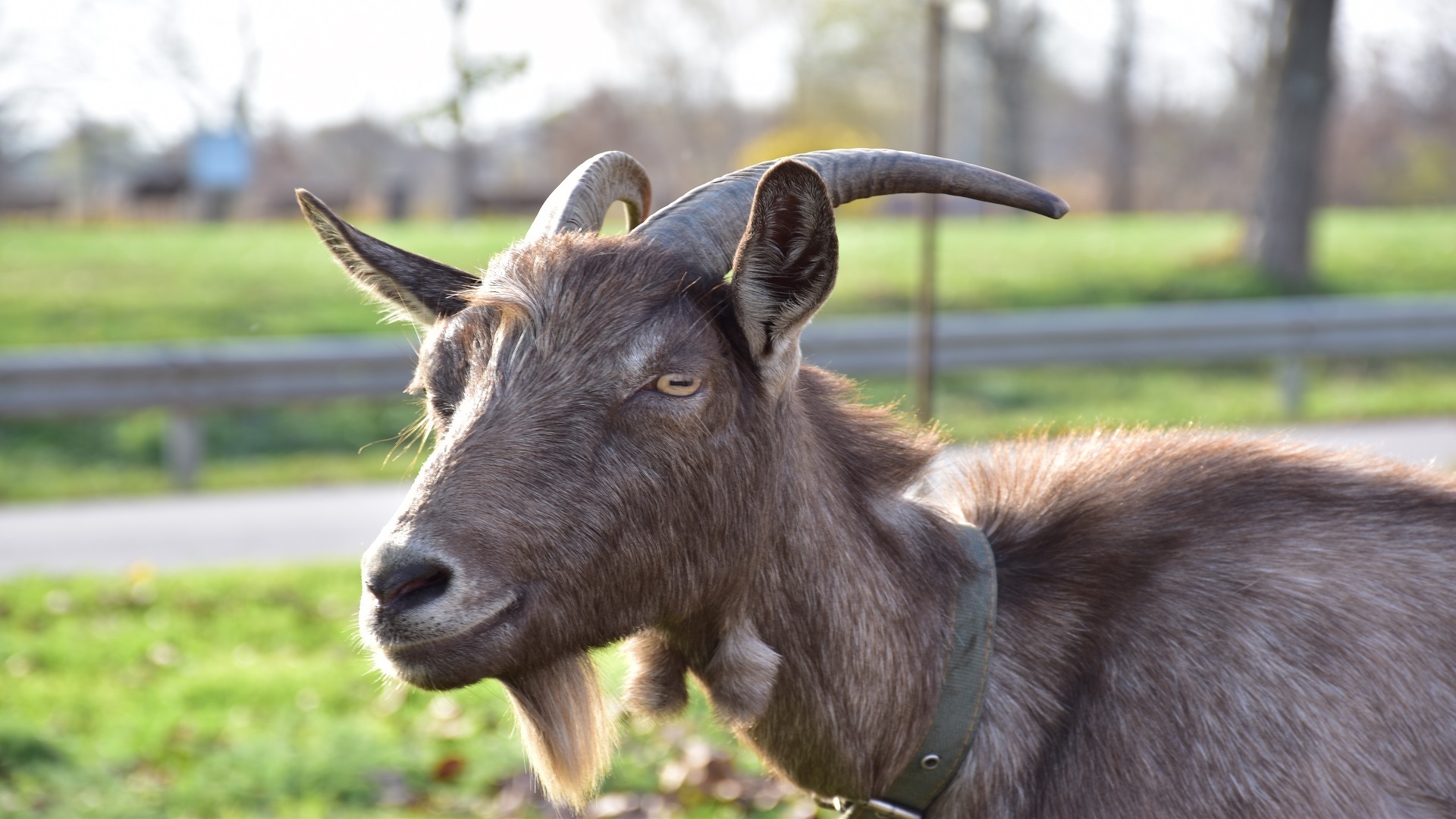 Отдых выходного дня в Ростовской области
