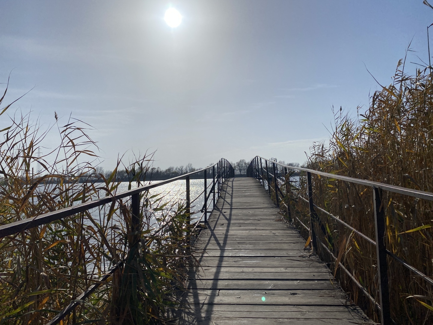 Отдых выходного дня в Ростовской области