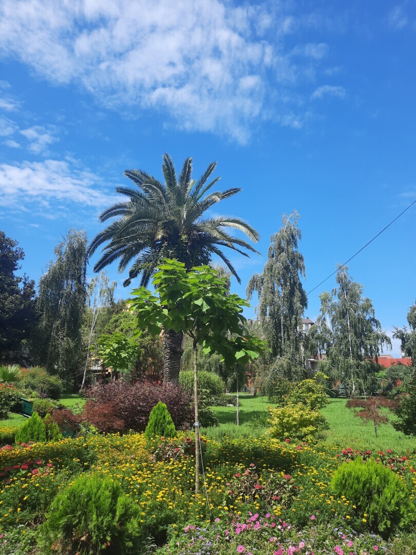 Моя поездка в Адлер: что запомнилось, достопримечательности