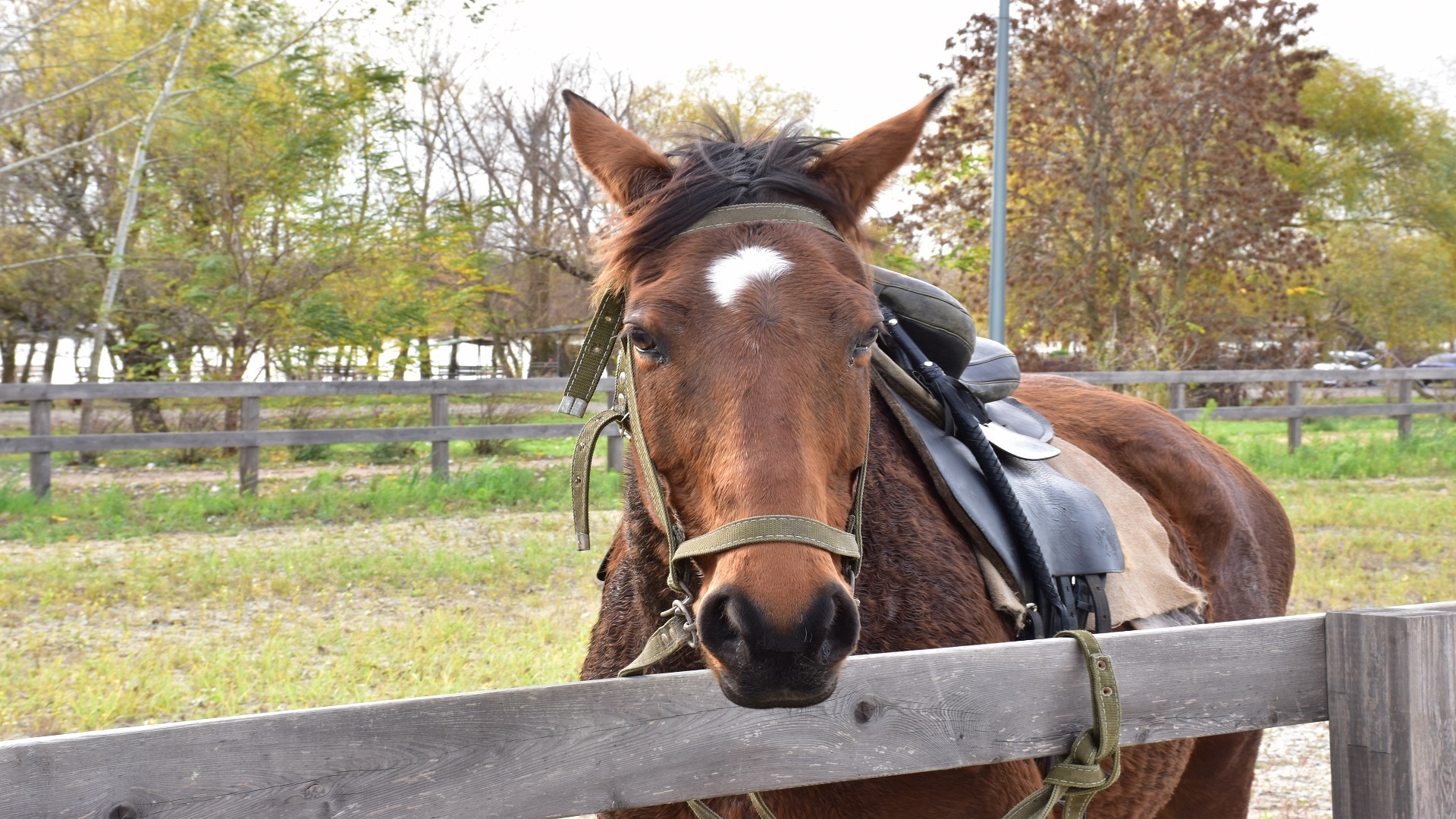 Отдых выходного дня в Ростовской области