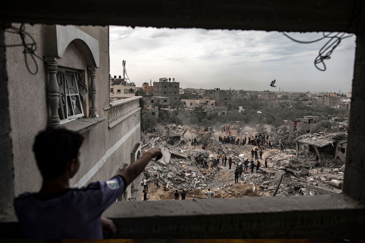 Неделя в 10 фотографиях