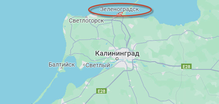 Настоящий кошачий город, где есть должность «Котошефа». Мое путешествие на 1 день в Зеленоградск - город кошек