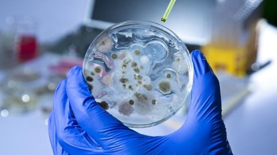 Нелегальную биолабораторию, принадлежащую китайцам, в Калифорнии разоблачили из-за возбудителей с маркировкой «ВИЧ» и «Эбола»