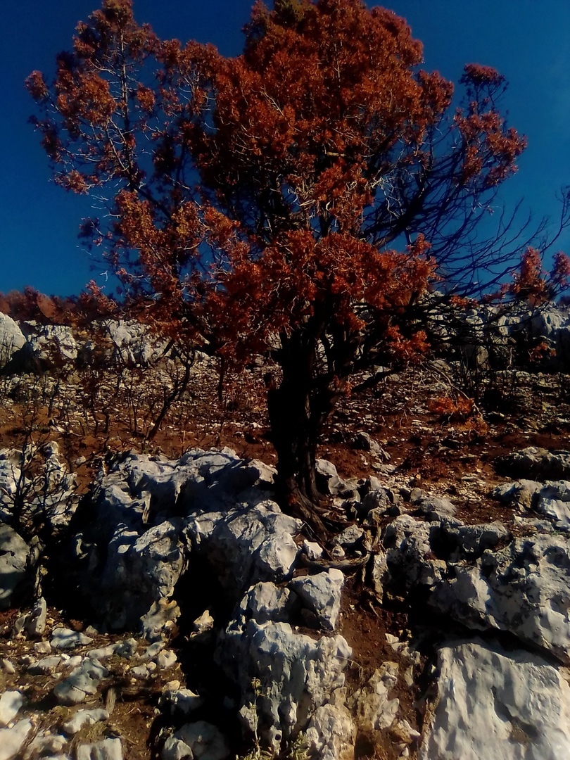 Как мы отдыхали в Турции в ноябре 2 года назад