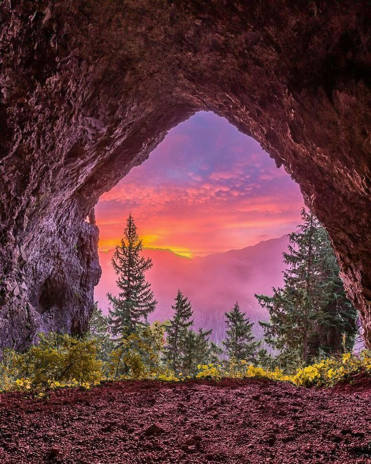 "Тайны пещеры в глубине леса: путешествие в неизведанное"