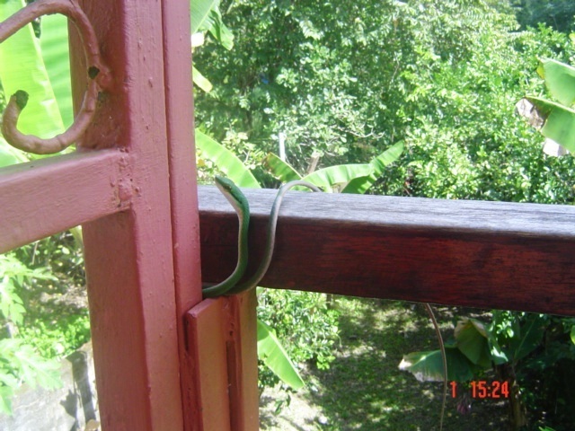 Встать, суд идёт... Часть 23. Обстановка перед слушанием свидетелей