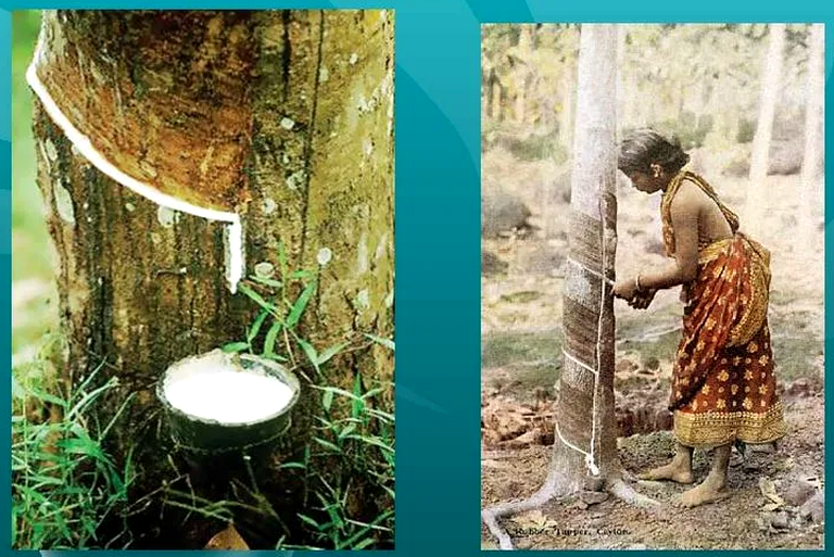 История возникновения жвачки: от первобытного человека до современных инноваций