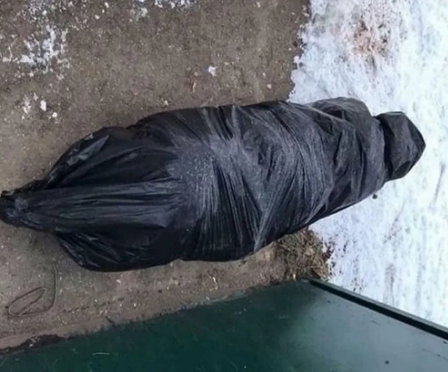 «Лежи и обтекай». Насильственное перевоспитание жены