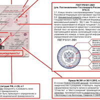 snimok-2-pravyi-niz_result-min.webp