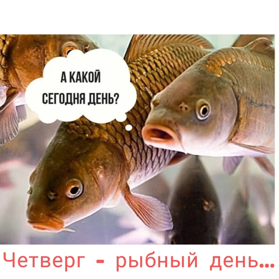 В. Путин не знает, что происходит в стране, а именно с ценами. Его не допускают до настоящего положения вещей. Зачем наживать себе проблем...