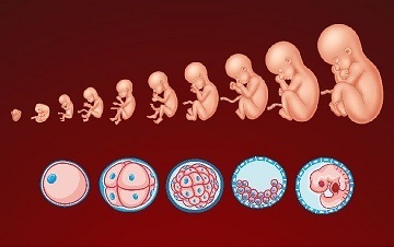 Не повторяйте прошлых ошибок...