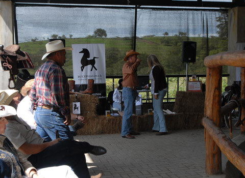 Встать, суд идёт... Часть 26. Адвокат ответчиков начала оценивать показания свидетелей с очередного опровержения моего иска и изложения моей биографии