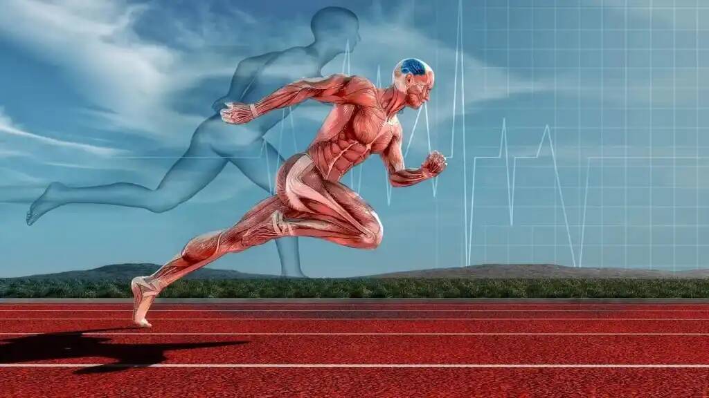 Умственная + физическая активность и развитие человека