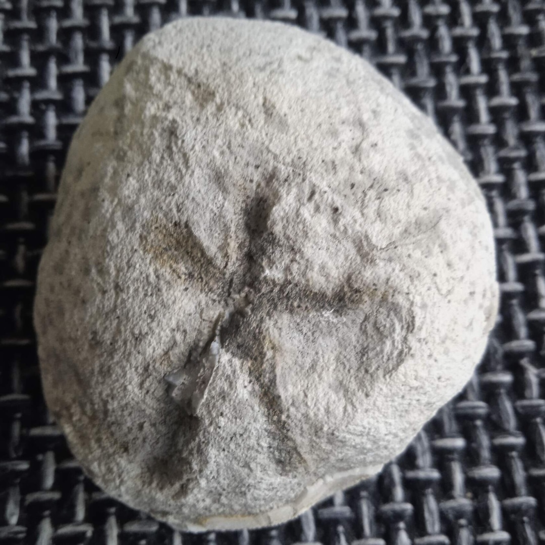 Сокровища которые лежат у нас под ногами.