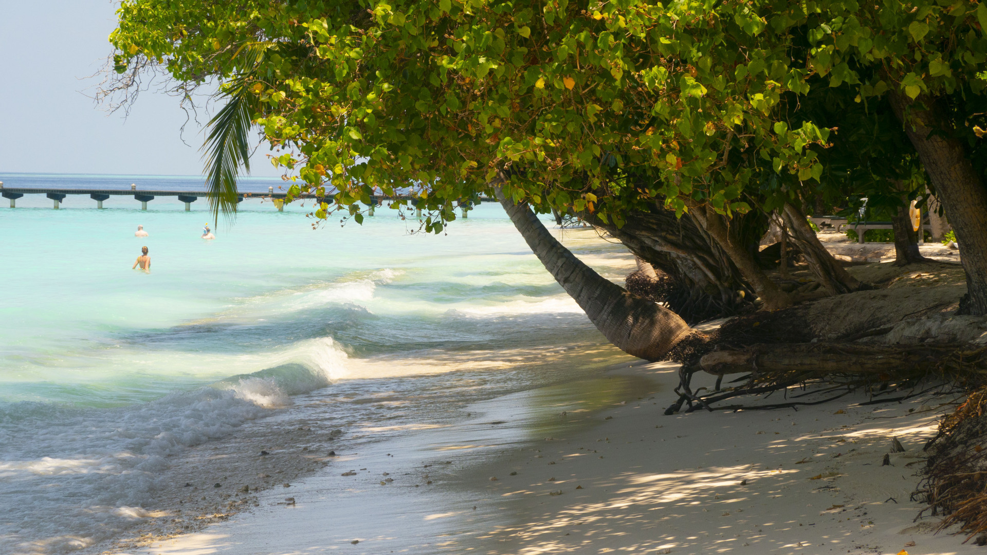 Когда слышу «нет денег», задаю всего один вопрос, который выводит человека на чистую воду