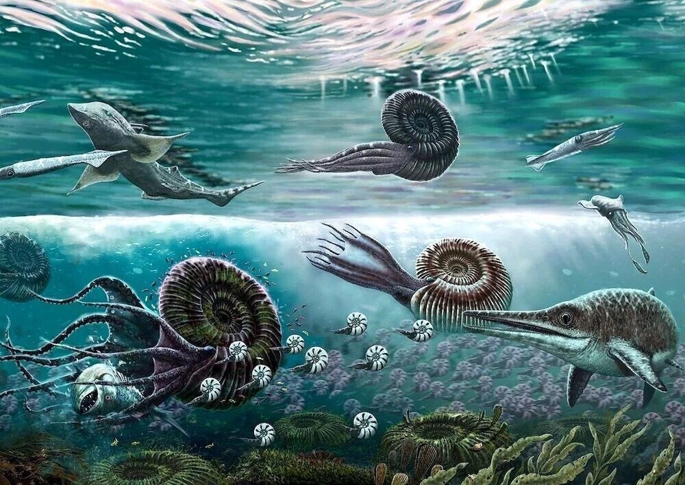 Сокровища которые лежат у нас под ногами.