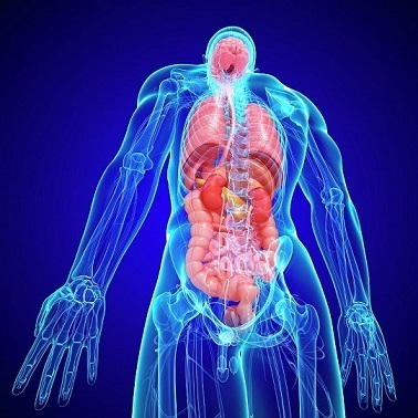 Кумиры и физиология