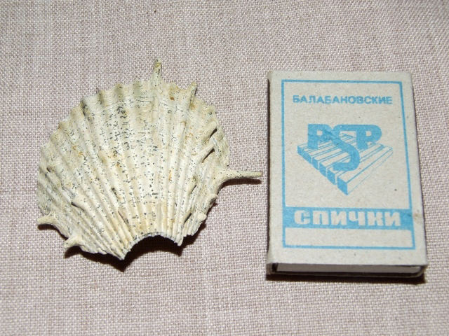 Сокровища которые лежат у нас под ногами.