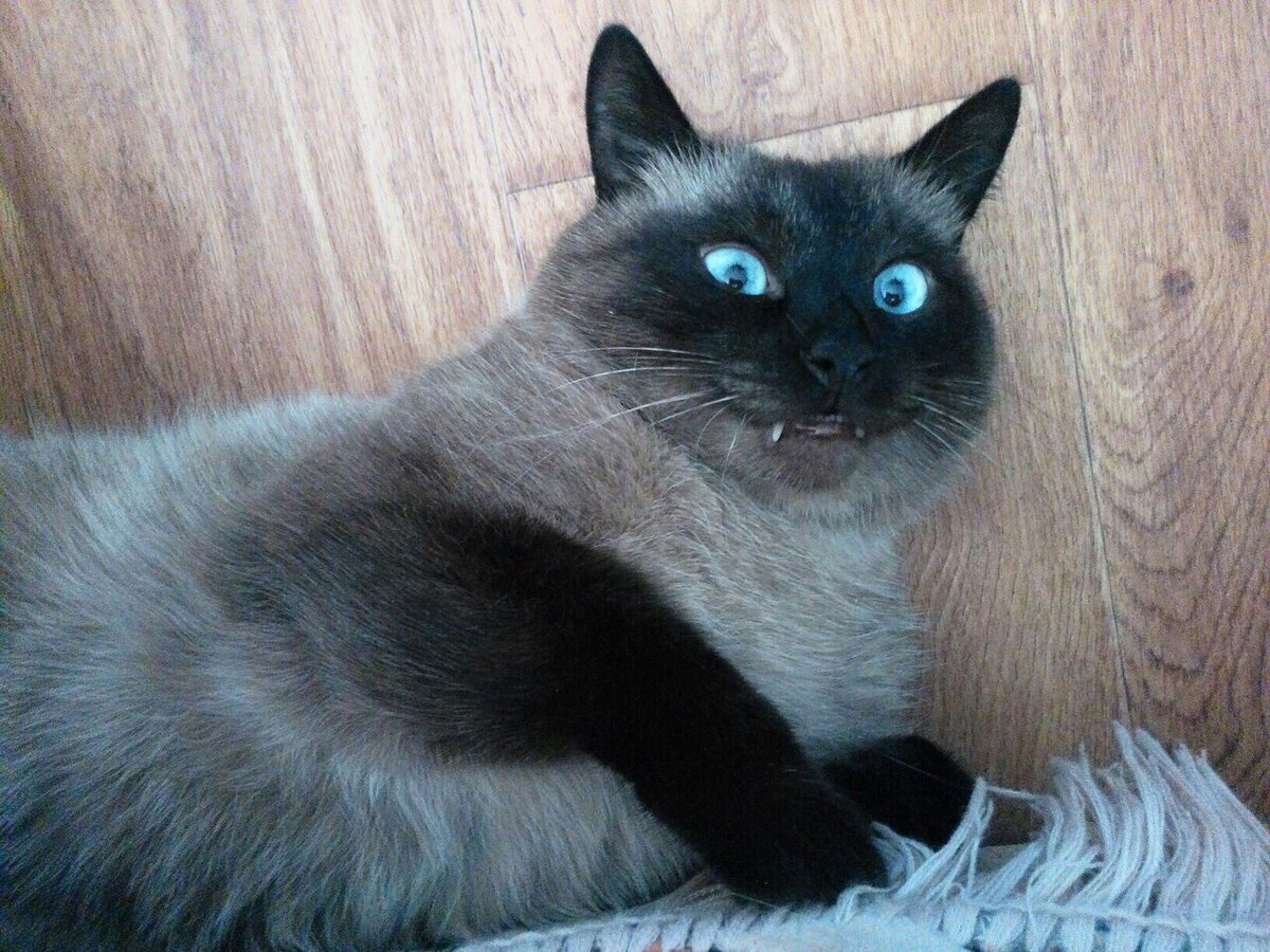 Неправовое решение