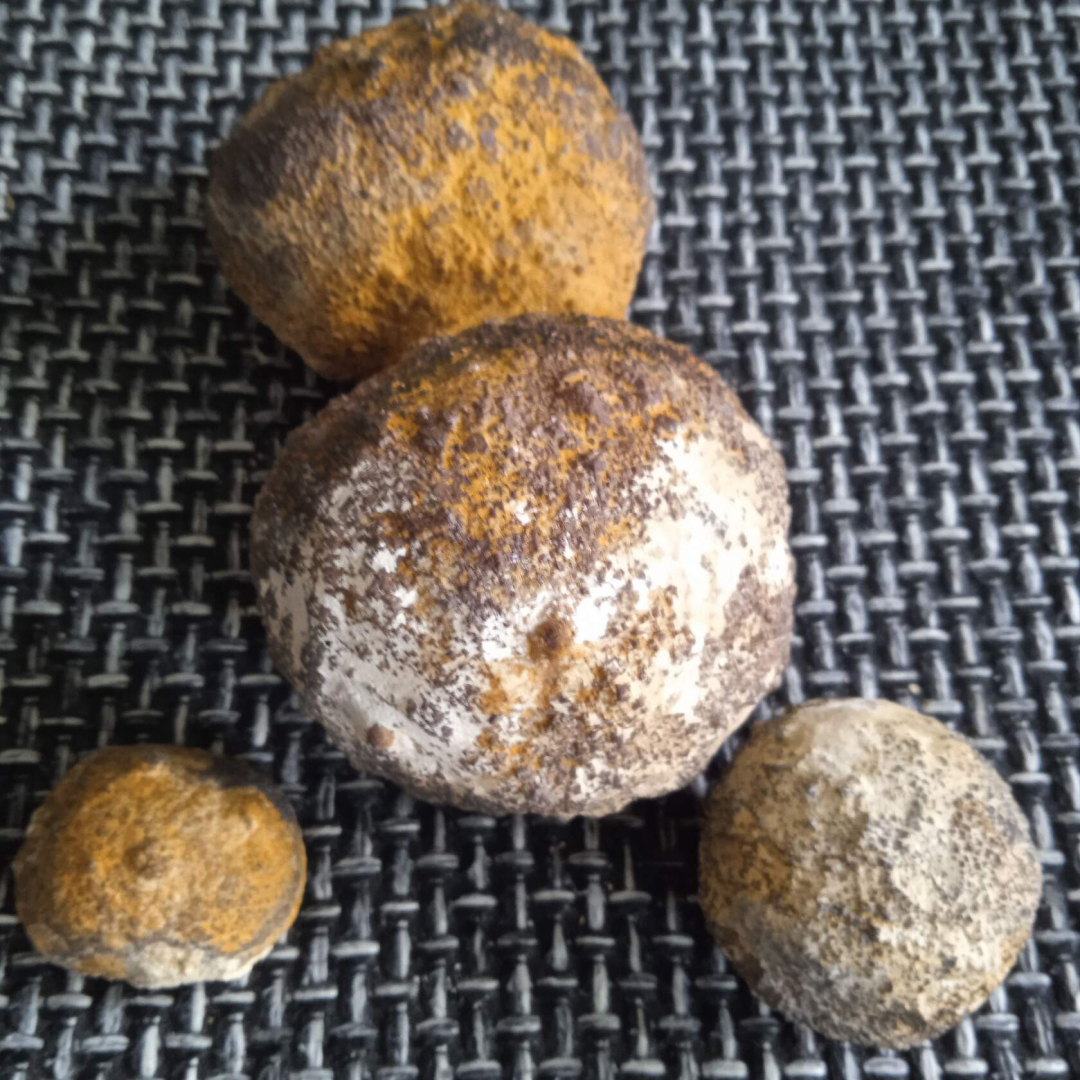 Сокровища которые лежат у нас под ногами.