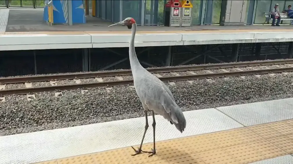 Фотографии выходных. Дикая природа.